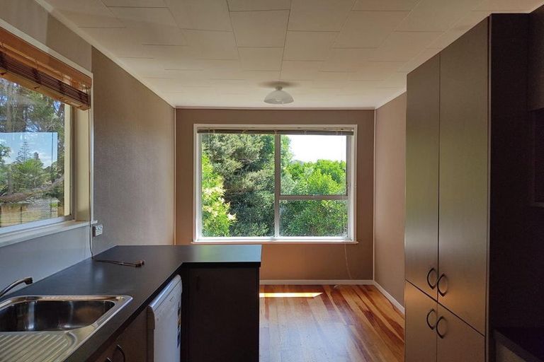Photo of property in 60 Hellyers Street, Birkdale, Auckland, 0626