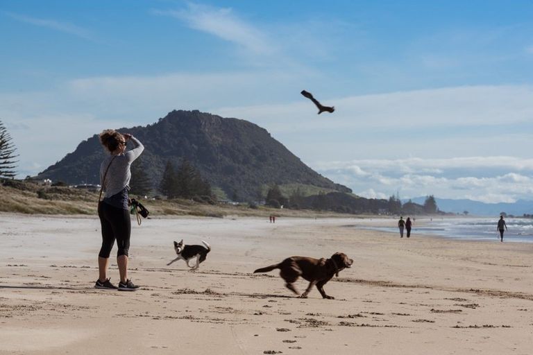 Photo of property in 21/281 Maunganui Road, Mount Maunganui, 3116