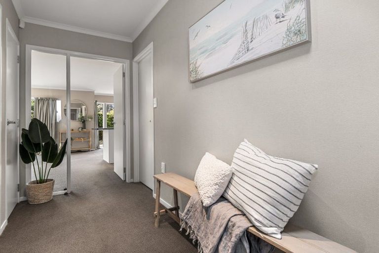 Photo of property in 19 Havenbrook Way, Pyes Pa, Tauranga, 3112