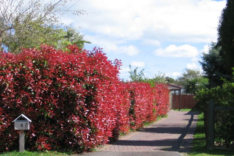Photo of property in 2/4 Elizabeth Street, Tauhara, Taupo, 3330