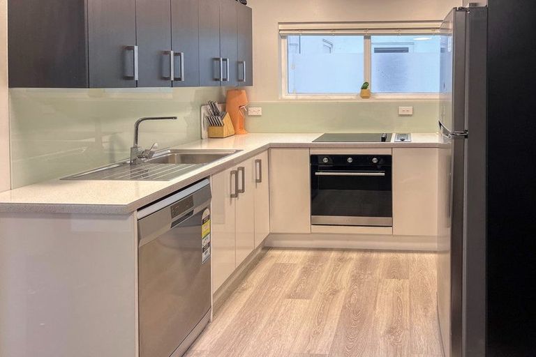 Photo of property in 28a Maclaggan Street, Dunedin Central, Dunedin, 9016
