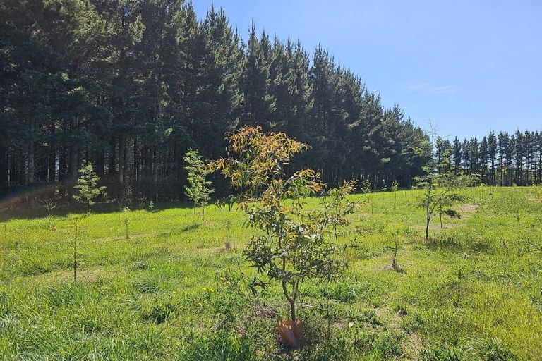Photo of property in 577 Pesters Road, West Eyreton, 7475