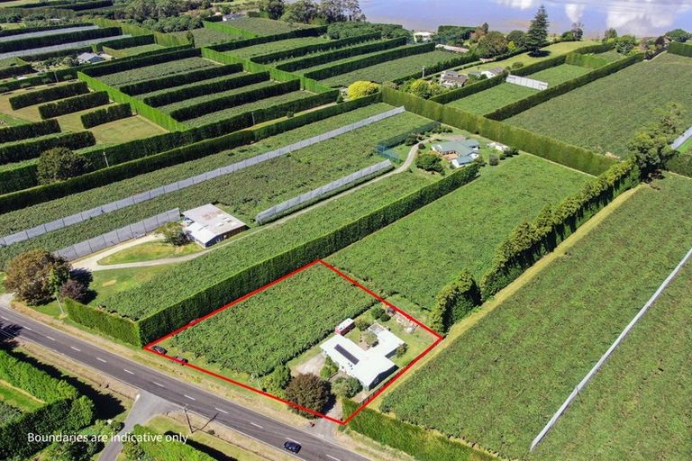 Photo of property in 186 Beach Road, Katikati, 3178