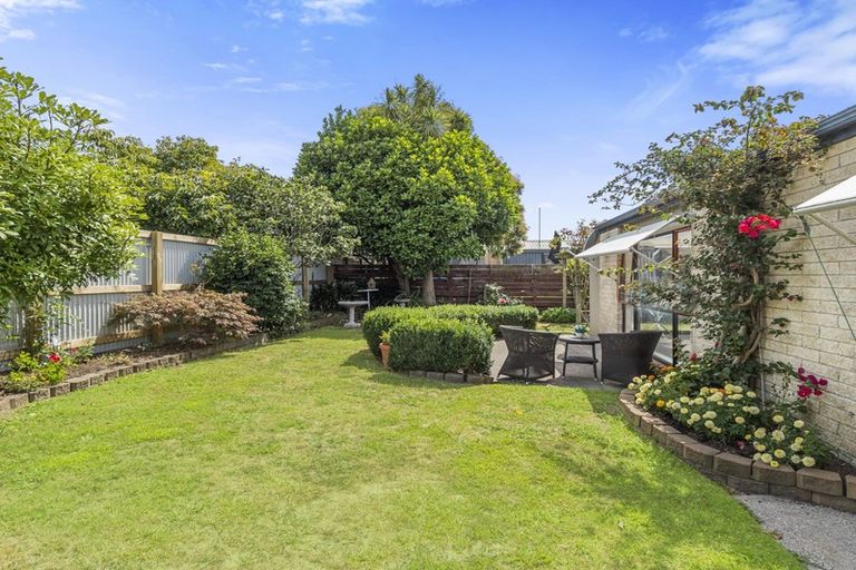 Photo of property in 54b Ascot Road, Mount Maunganui, 3116