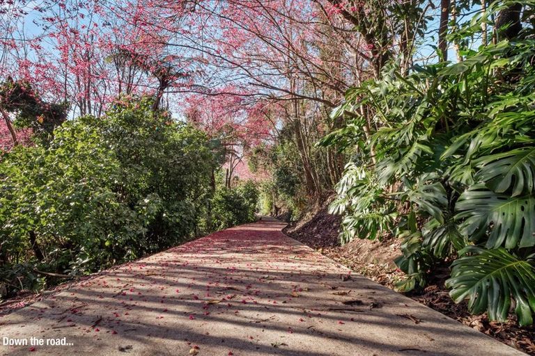 Photo of property in 101a Taipari Street, Maungatapu, Tauranga, 3112