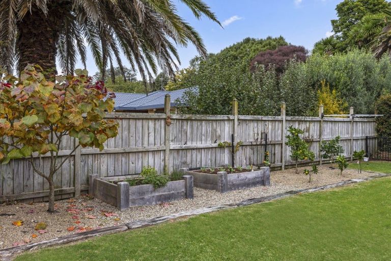 Photo of property in 14 Bronte Place, Leamington, Cambridge, 3432