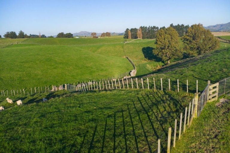 Photo of property in 180 Tipapakuku Road, Dannevirke, 4930