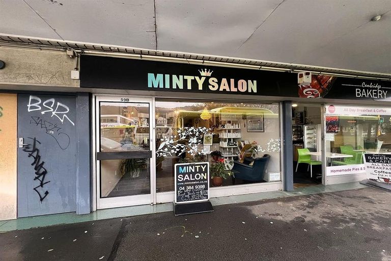 Photo of property in 2/59 Cambridge Terrace, Te Aro, Wellington, 6011