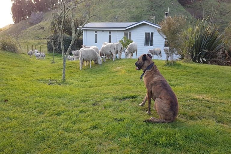 Photo of property in 268 Whangamata Road, Kinloch, Taupo, 3377