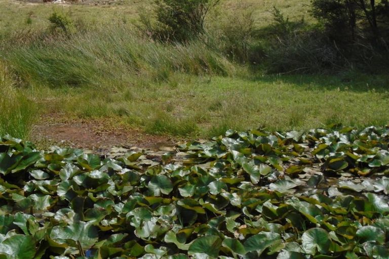 Photo of property in 43a Pinetone Road, Kumeu, 0892