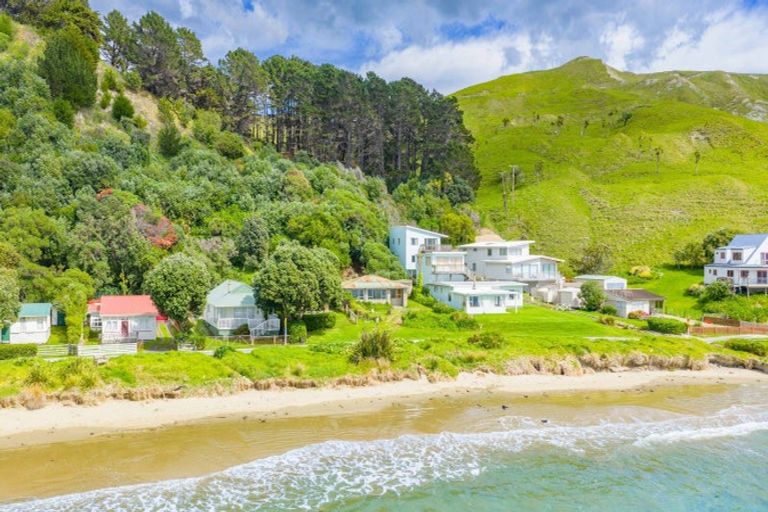 Photo of property in 202 Pourerere Beach Road, Aramoana, Omakere, 4271