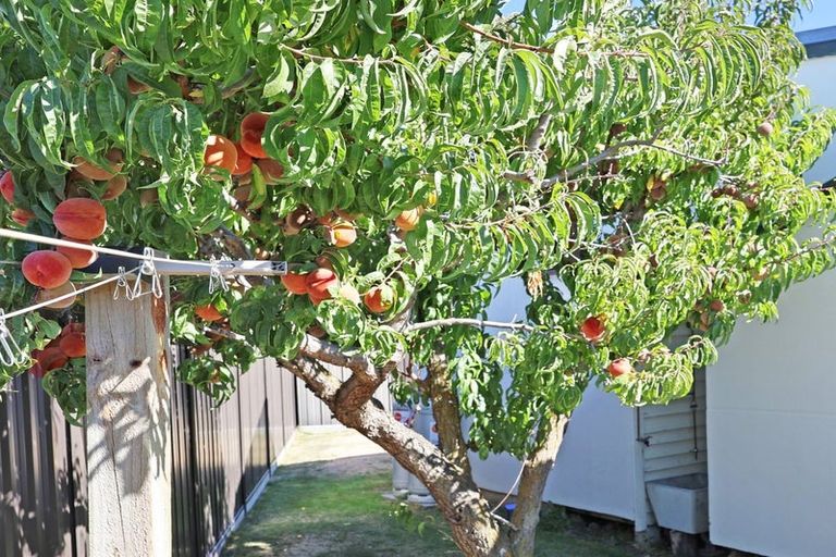 Photo of property in 212 Waitaki Drive West, Otematata, 9412