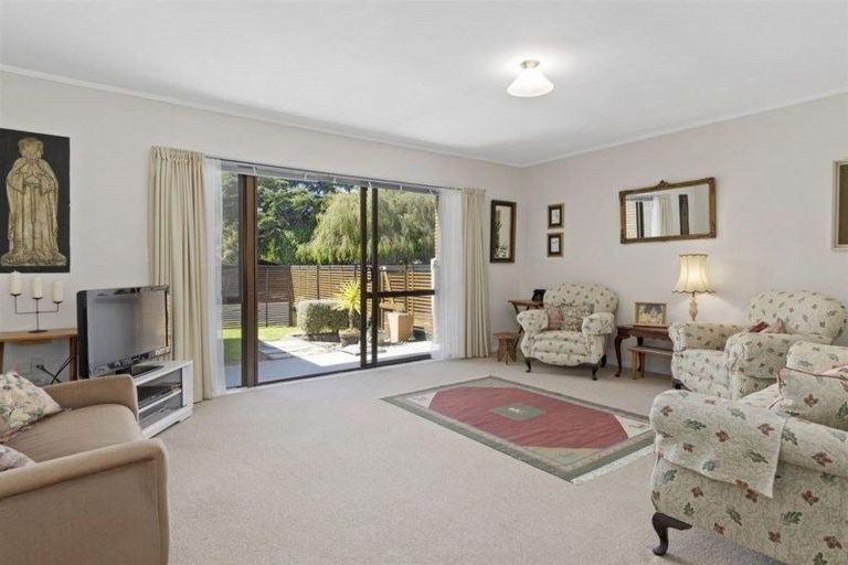 Photo of property in 38 The Drive, Brookfield, Tauranga, 3110