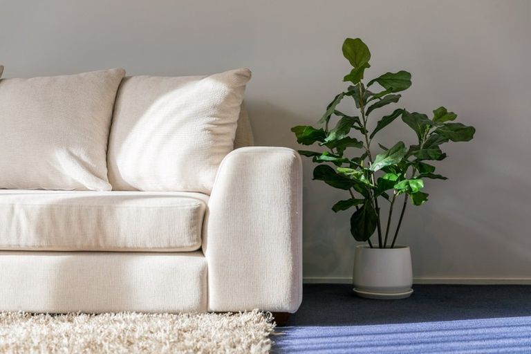 Photo of property in 40b Miro Street, Mount Maunganui, 3116