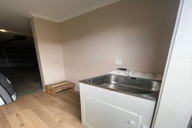 Photo of property in 217b Killarney Road, Frankton, Hamilton, 3204