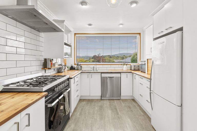 Photo of property in 52 Sunbury Street, Andersons Bay, Dunedin, 9013