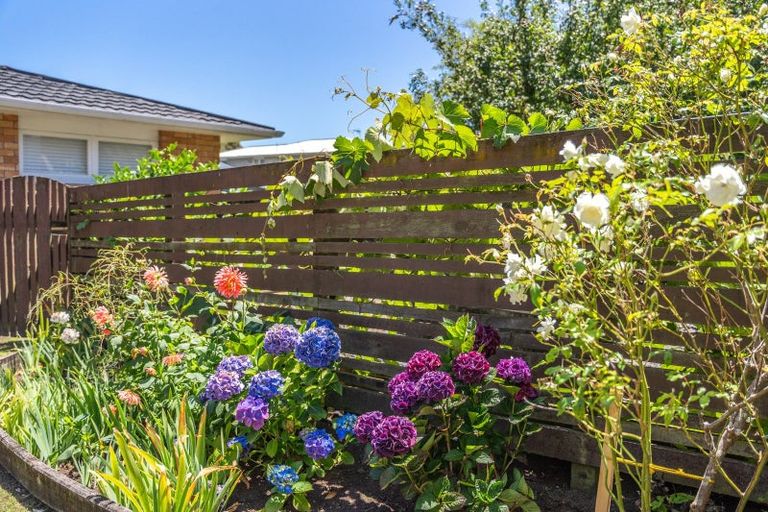 Photo of property in 42 Tui Road, Raumati Beach, Paraparaumu, 5032