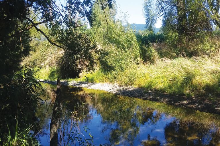 Photo of property in 253 Ronga Valley, Rai Valley, 7194