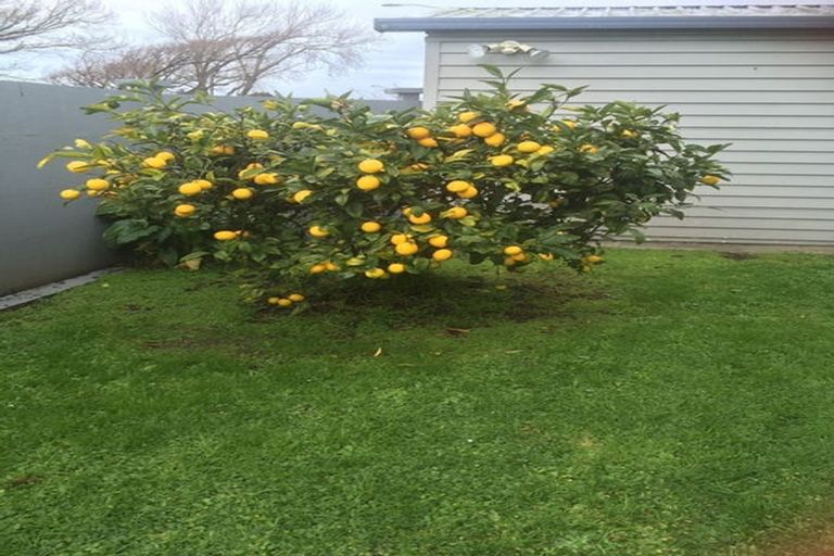 Photo of property in 16 Freyberg Street, Roslyn, Palmerston North, 4414