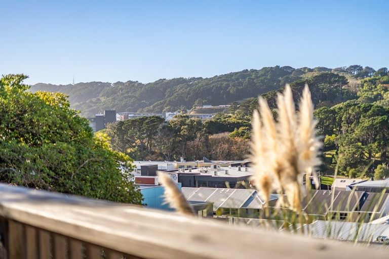 Photo of property in 14a Hanson Street, Mount Cook, Wellington, 6021