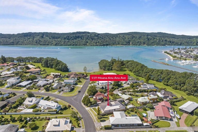 Photo of property in 119 Moana Anu Anu Avenue, Whangamata, 3620