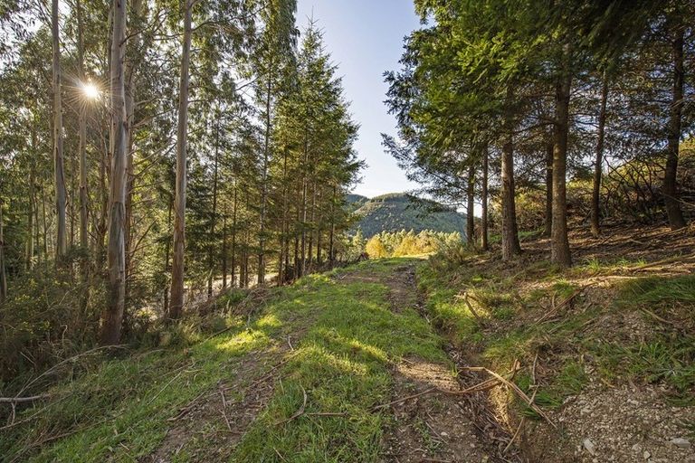 Photo of property in 255 Glentui Bush Road, Glentui, Oxford, 7495