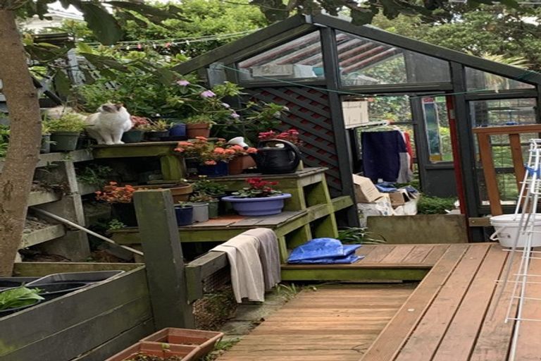 Photo of property in 39 Drummond Street, Mount Cook, Wellington, 6021