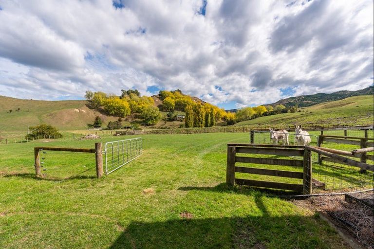 Photo of property in 564 Seafield Road, Puketapu, Napier, 4182