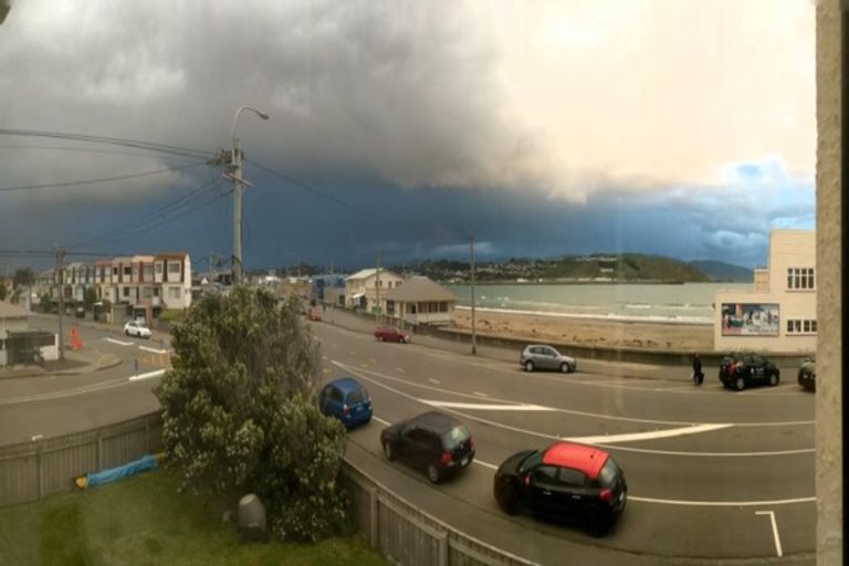 Photo of property in 102u4 Lyall Parade, Lyall Bay, Wellington, 6022