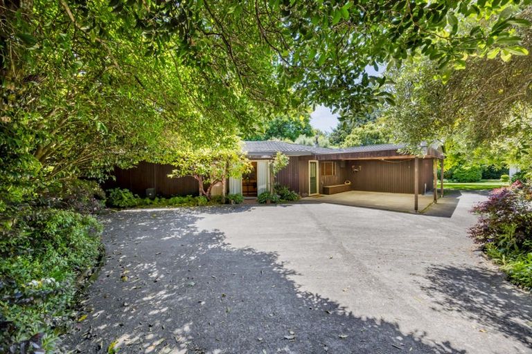 Photo of property in 42a Regan Street, Stratford, 4332