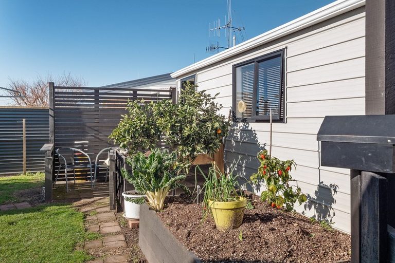 Photo of property in 101a Taipari Street, Maungatapu, Tauranga, 3112
