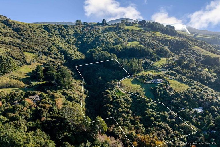 Photo of property in 31 Tui Street, Saint Leonards, Dunedin, 9022
