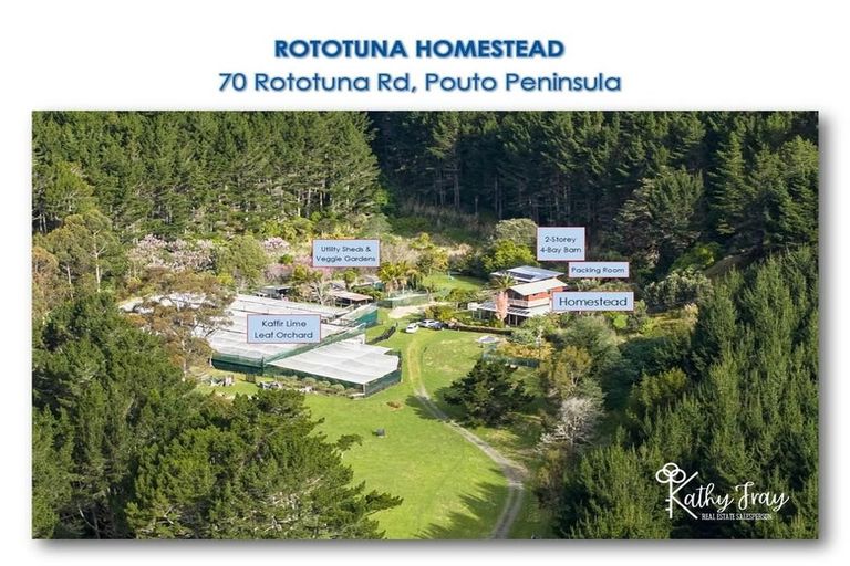 Photo of property in 70 Rototuna Road, Pouto, Te Kopuru, 0391