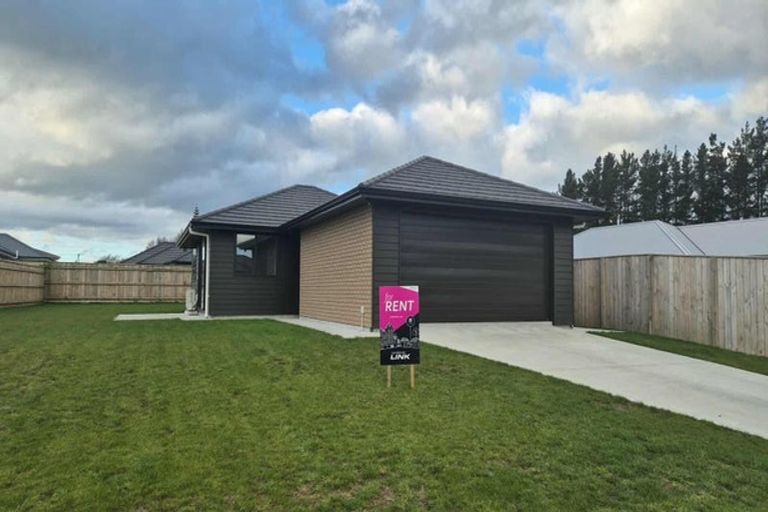 Photo of property in 49 Hereford Street, Marton, 4710