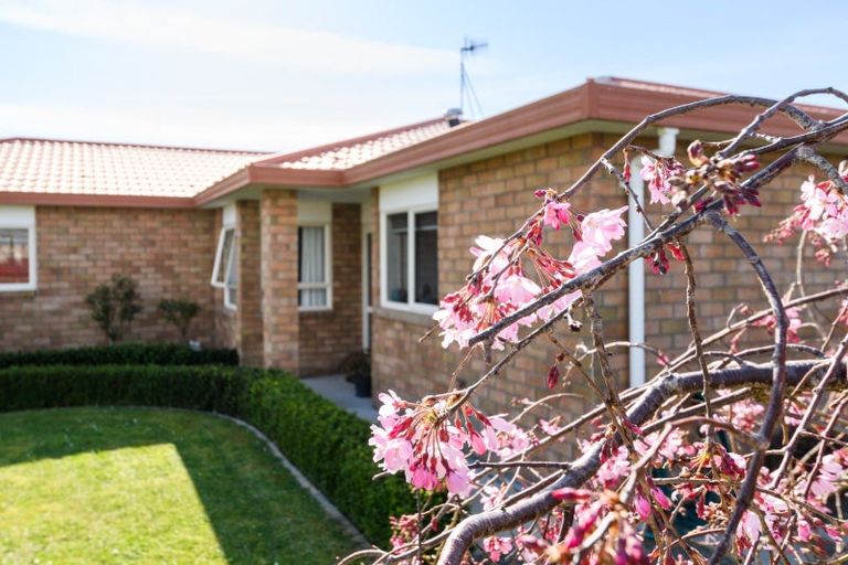 Photo of property in 101 Peter Hall Drive, Kelvin Grove, Palmerston North, 4414