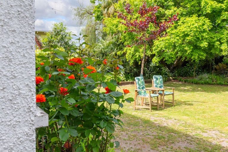 Photo of property in 100 Colombo Road, Masterton, 5810