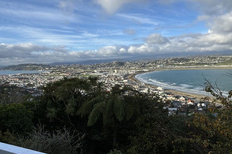 Photo of property in 115 Hornsey Road, Melrose, Wellington, 6023