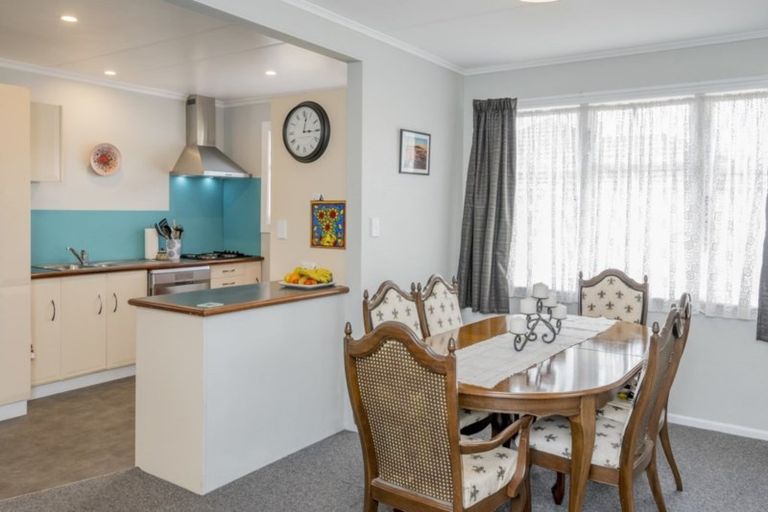 Photo of property in 55 Tiro Tiro Road, Levin, 5510