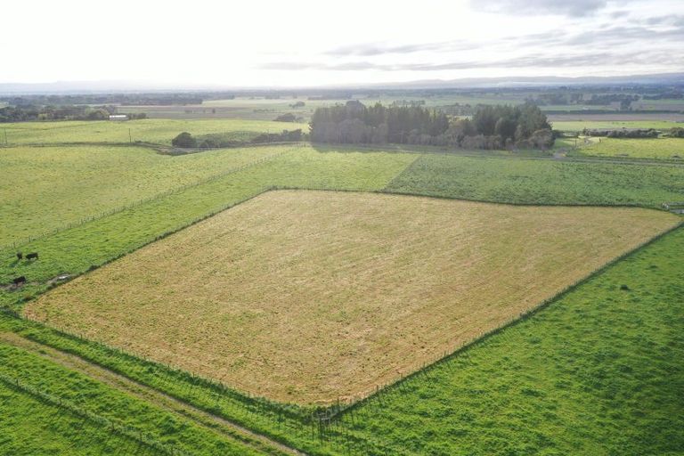 Photo of property in 8 Gill Lane, Rongotea, 4476