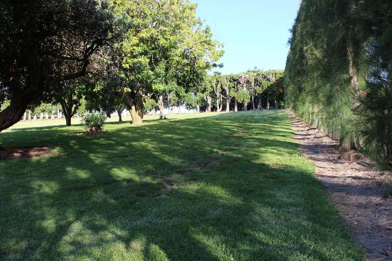 Photo of property in 225b Wairoa Road, Minden, Tauranga, 3171