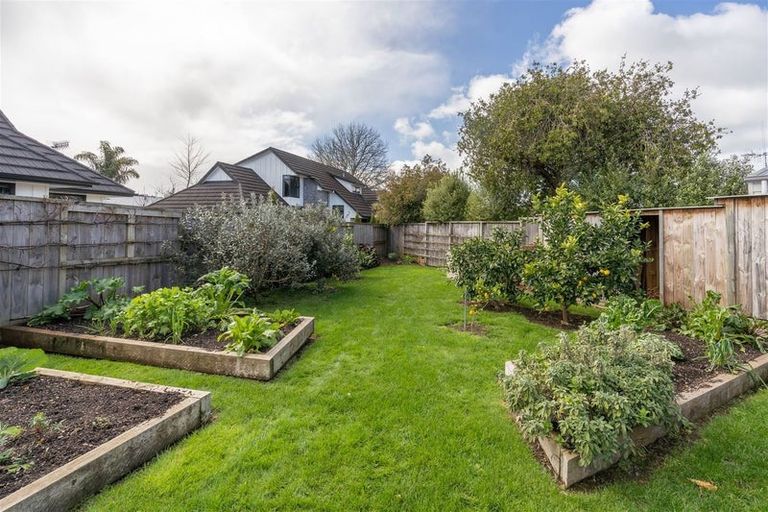 Photo of property in 54 Queenwood Avenue, Queenwood, Hamilton, 3210