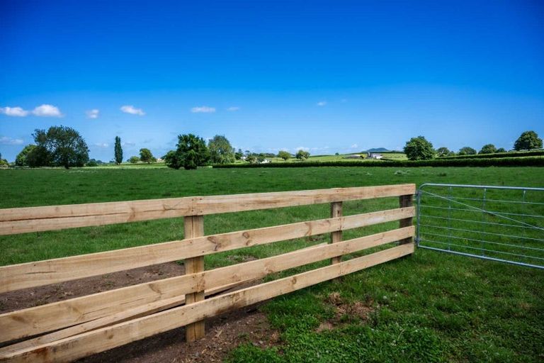 Photo of property in 319 Pirongia Road, Te Awamutu, 3876