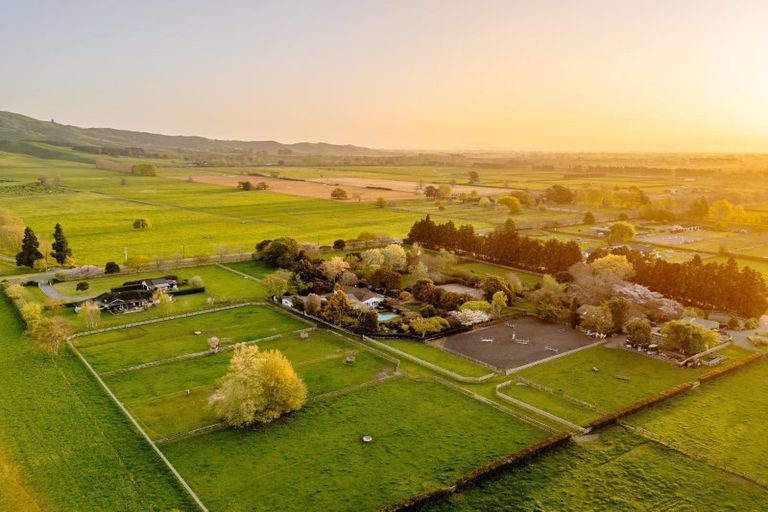 Photo of property in 365 Maungatautari Road, Cambridge, 3494