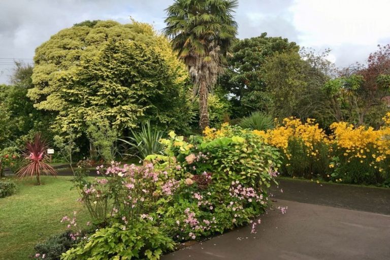 Photo of property in 23 Hastings Street, Te Puke, 3119