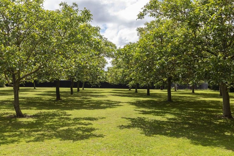 Photo of property in 154 Cullen Avenue, Swannanoa, Rangiora, 7475