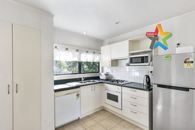 Photo of property in 4a Myrtle Crescent, Mount Cook, Wellington, 6021