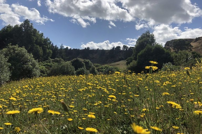 Photo of property in 824 Maraetotara Road, Maraetotara, Havelock North, 4294