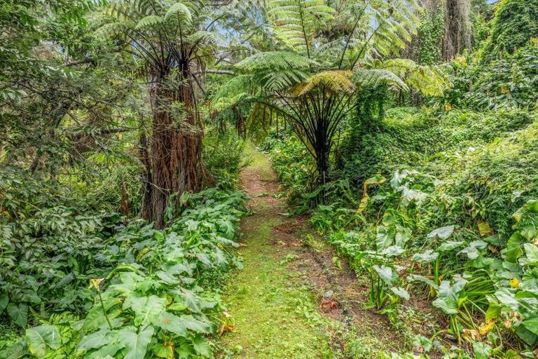 Photo of property in 146 Hokianga Road, Dargaville, 0310