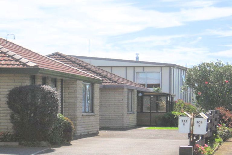 Photo of property in 111b Chapel Street, Otumoetai, Tauranga, 3110