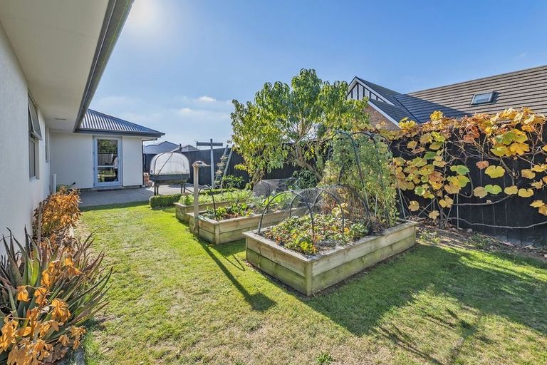 Photo of property in 56 Lewis Crescent, Rolleston, 7614